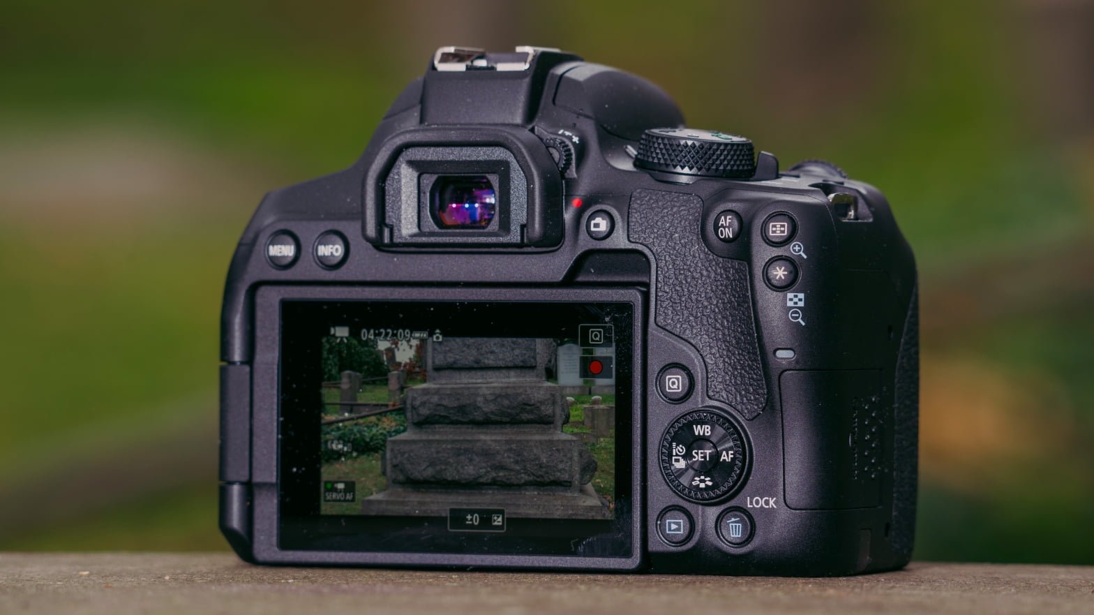 The Canon Rebel T8i DSLR in a Mirrorless World The Canon Rebel T8i DSLR in a Mirrorless World