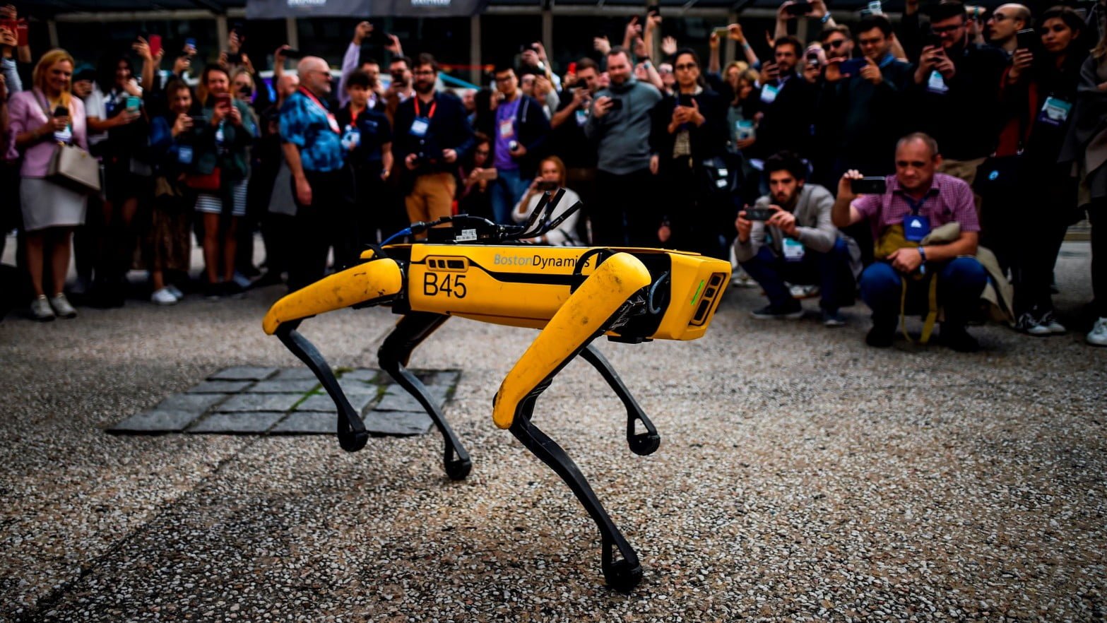 All about Spot, the Robot Dog. All about Spot, the Robot Dog.