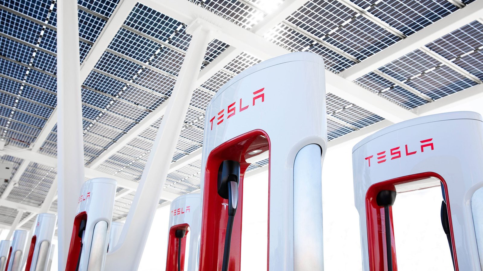 Tesla Trims the Fat: Over 10% of Workforce Reportedly Let Go Tesla Trims the Fat: Over 10% of Workforce Reportedly Let Go